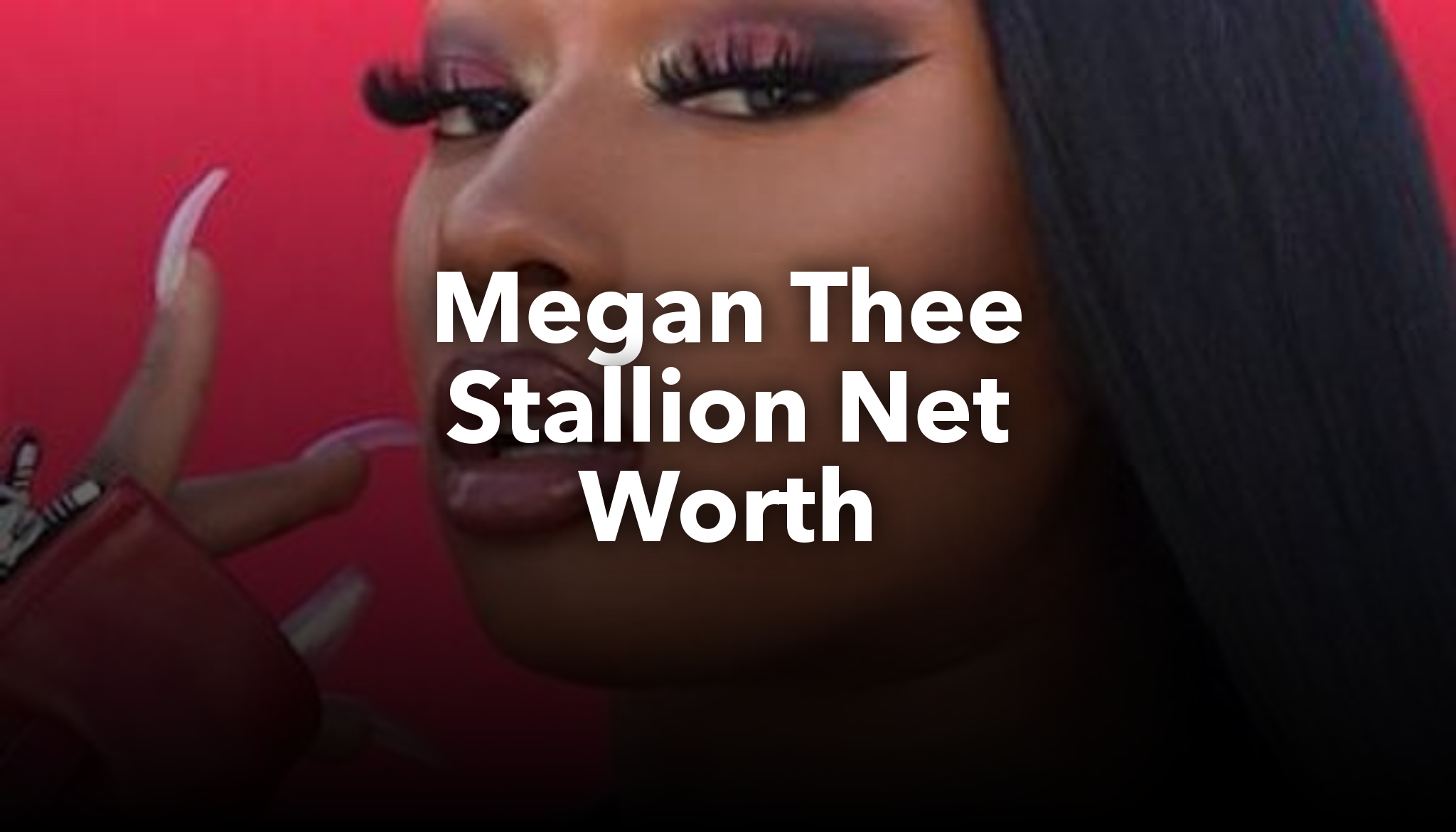 Megan Thee Stallion Net Worth nichesss